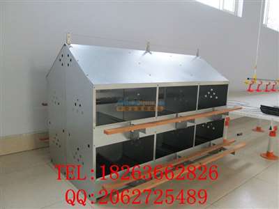 廠家直銷全鍍鋅板產(chǎn)蛋箱,種雞用產(chǎn)蛋箱,產(chǎn)蛋箱廠家